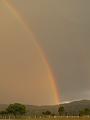 Rainbow, Boonah Fassifern Road P1080069